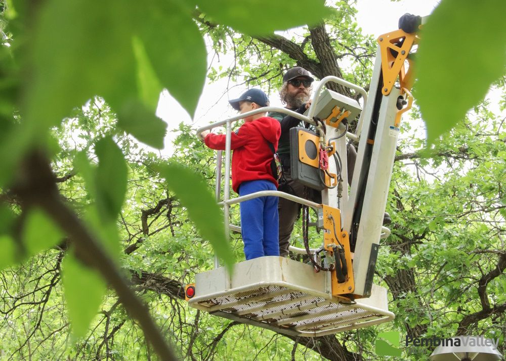 Arbor day 2024